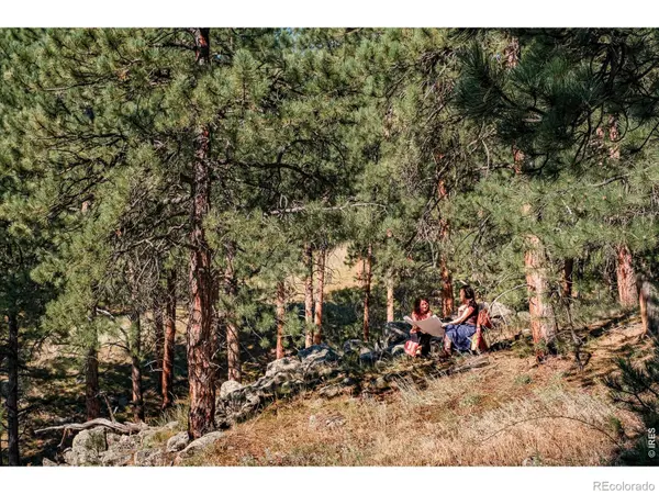 695 Cutter LN, Boulder, CO 80302