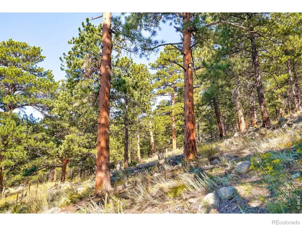 695 Cutter LN, Boulder, CO 80302