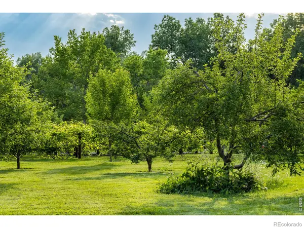 500 Apple Blossom LN, Fort Collins, CO 80526