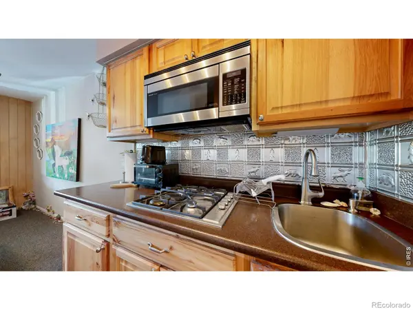 1250 S Saint Vrain AVE ##3, Estes Park, CO 80517