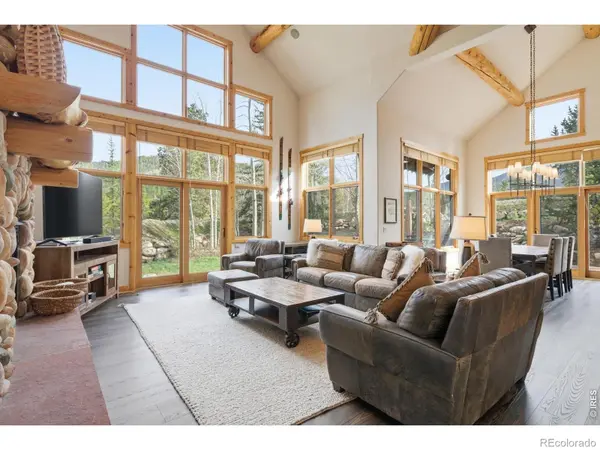 590 Water Dance DR, Frisco, CO 80443