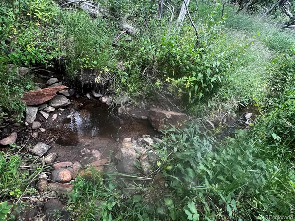 0 Forest Service RD #169, Red Feather Lakes, CO 80545