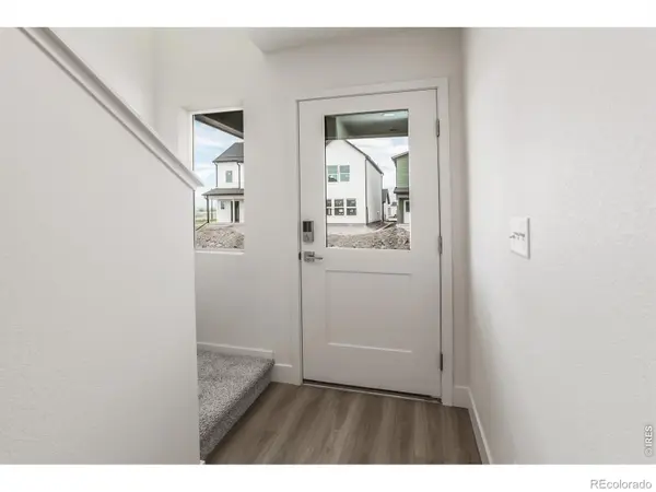 947 Trumpet LN, Windsor, CO 80550