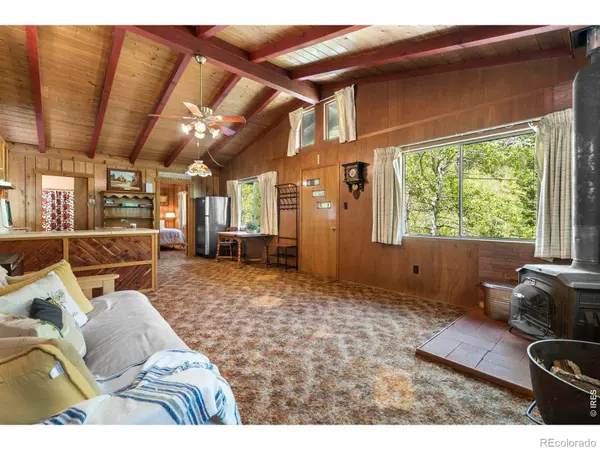 702 Bryan AVE, Nederland, CO 80466