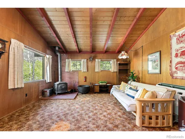702 Bryan AVE, Nederland, CO 80466