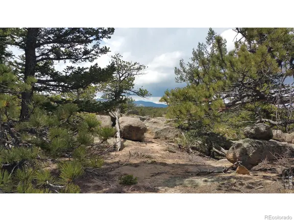 2928 Fox Acres DR, Red Feather Lakes, CO 80545