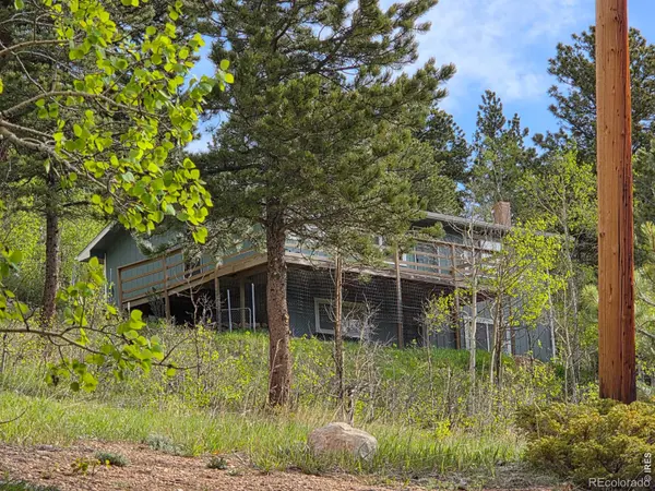 328 N Skinner RD, Allenspark, CO 80510