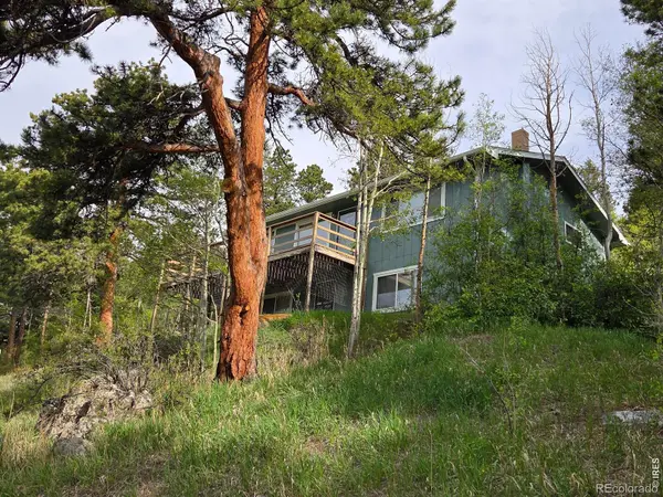 328 N Skinner RD, Allenspark, CO 80510