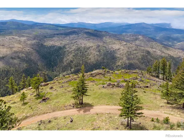 0 Spencer Mountain RD, Bellvue, CO 80512