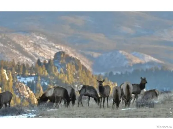 0 Red Feather Lake Rd 13, Livermore, CO 80536