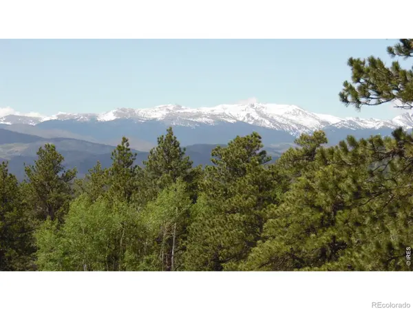 1502 Bald Mountain DR, Livermore, CO 80536