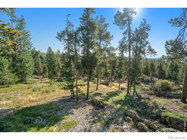 231 Granite DR, Drake, CO 80515