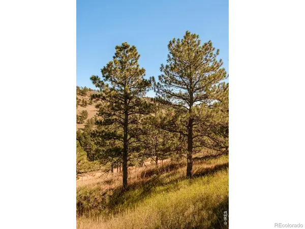 6365 Red Hill RD, Boulder, CO 80302