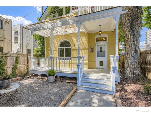 1113 N Washington ST, Denver, CO 80203