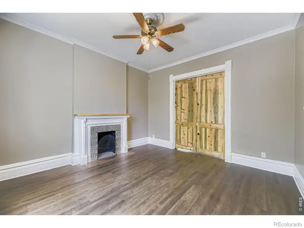 1113 N Washington ST, Denver, CO 80203
