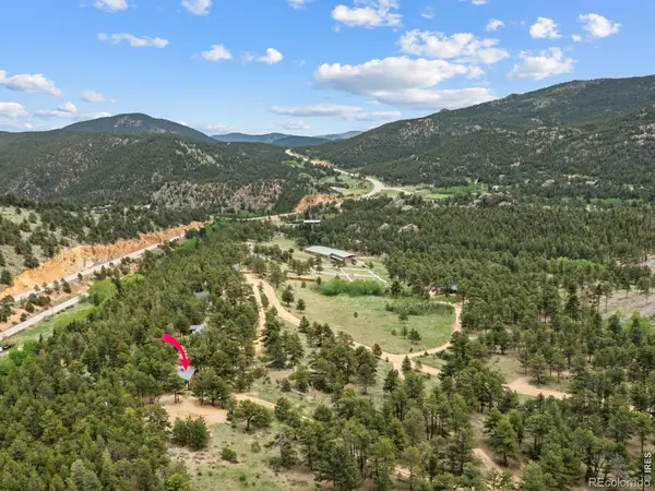 270 E Ski RD, Allenspark, CO 80510