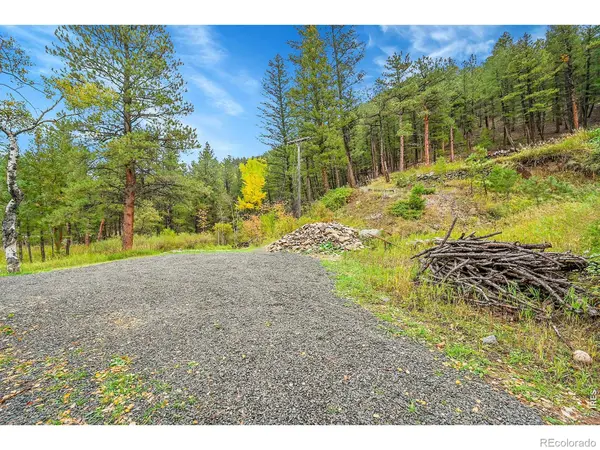 5567 Lefthand Canyon DR, Jamestown, CO 80455