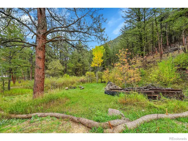 5567 Lefthand Canyon DR, Jamestown, CO 80455
