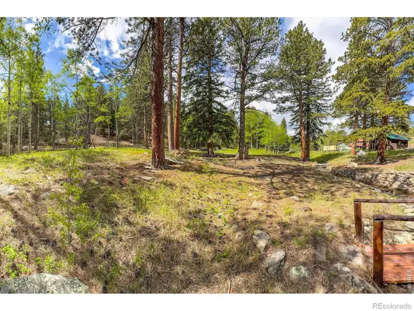 412 Highway 7 Business, Allenspark, CO 80510