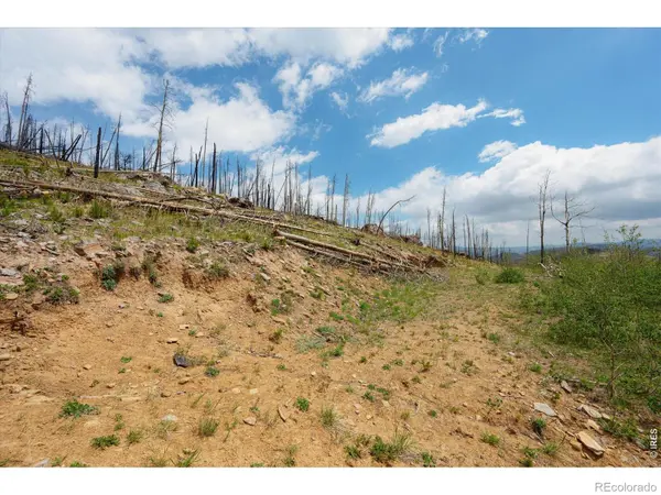 30 Sheep Horn CT, Bellvue, CO 80512