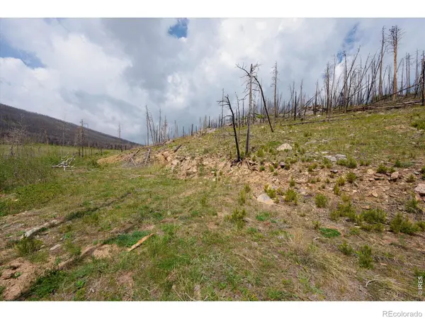 30 Sheep Horn CT, Bellvue, CO 80512