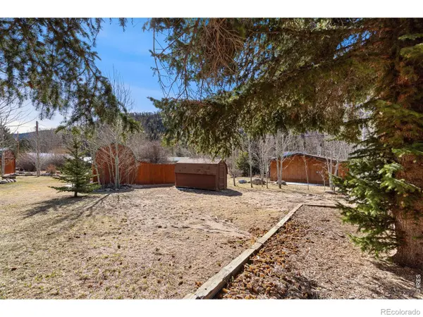 225 Meadow LN, Bellvue, CO 80512