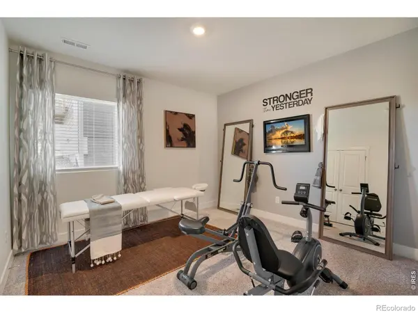 5621 Horro ST, Windsor, CO 80528
