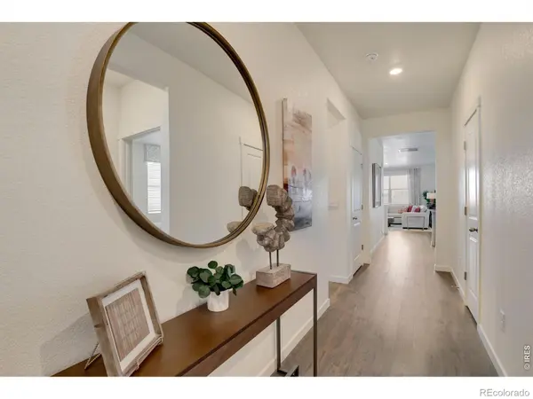 5621 Horro ST, Windsor, CO 80528