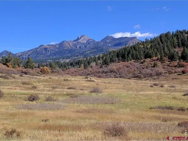 919 Roush DR, Pagosa Springs, CO 81147