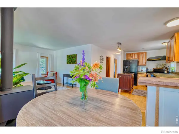 253 W Breed ST, Nederland, CO 80466