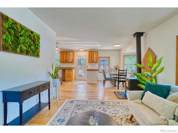 253 W Breed ST, Nederland, CO 80466
