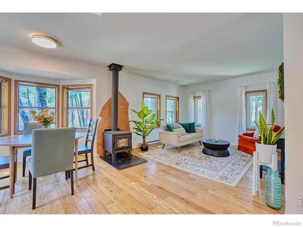 253 W Breed ST, Nederland, CO 80466