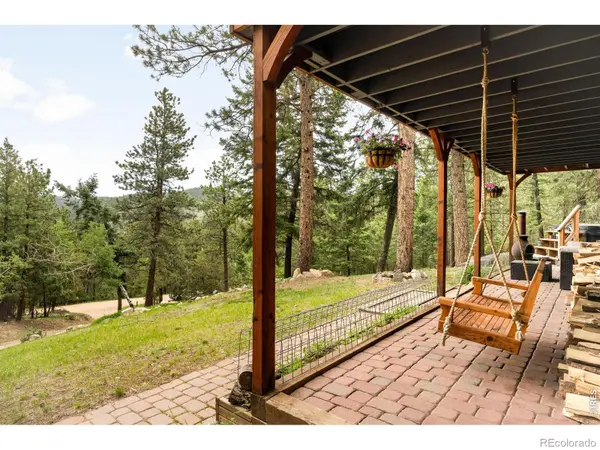 257 Lo Meadow LN, Bailey, CO 80421
