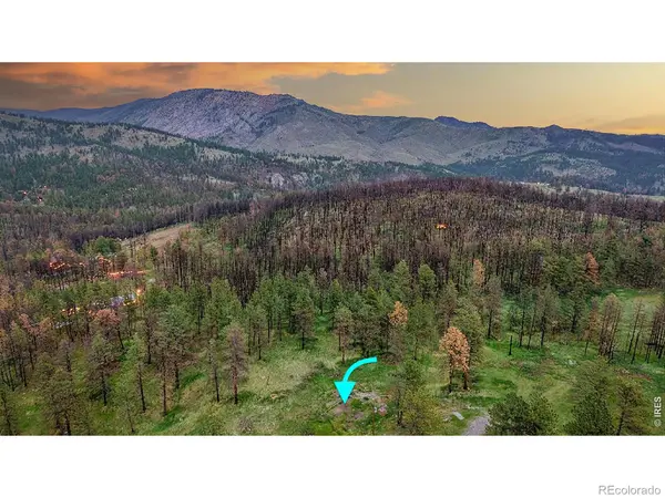 179 Green Ridge RD, Drake, CO 80515
