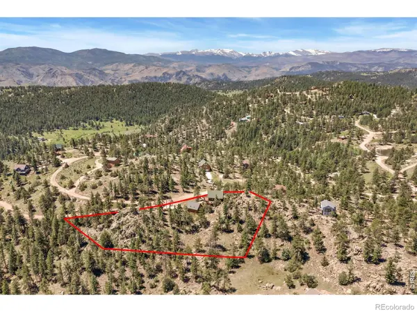 298 Mount Massive DR, Livermore, CO 80536