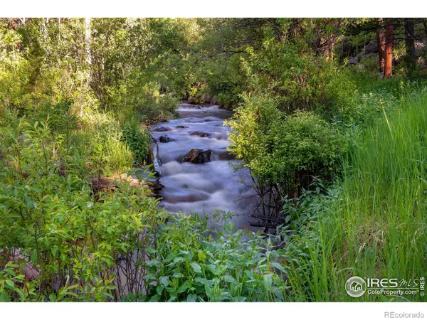 1217 Big Owl RD, Allenspark, CO 80510