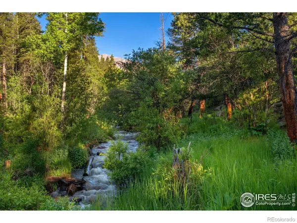 1217 Big Owl RD, Allenspark, CO 80510