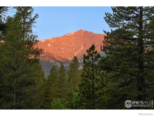 1217 Big Owl RD, Allenspark, CO 80510