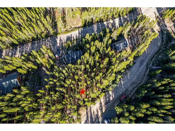 Elk, Idaho Springs, CO 80452