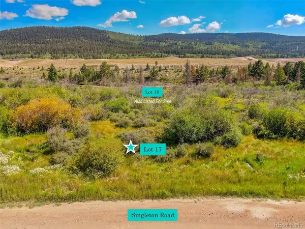 17 Singleton, Alma, CO 80420