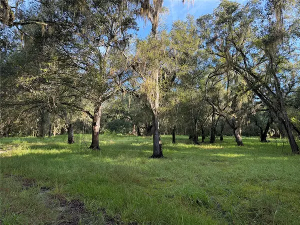 1284 NE RIVER MILL DR, Arcadia, FL 34266
