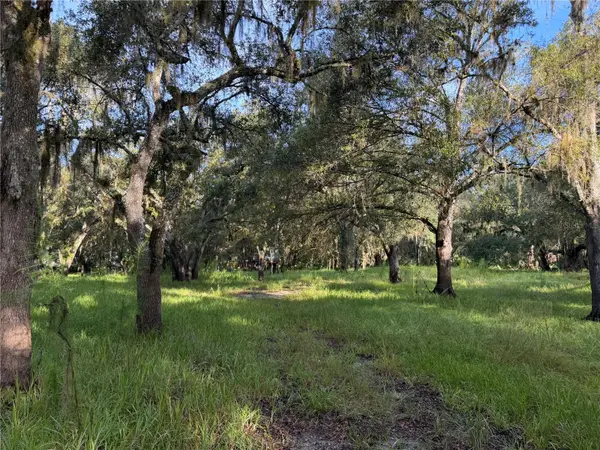 1284 NE RIVER MILL DR, Arcadia, FL 34266