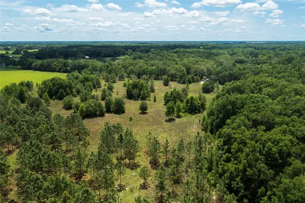 Tract 28 NE 155TH AVE,  Williston,  FL 32696