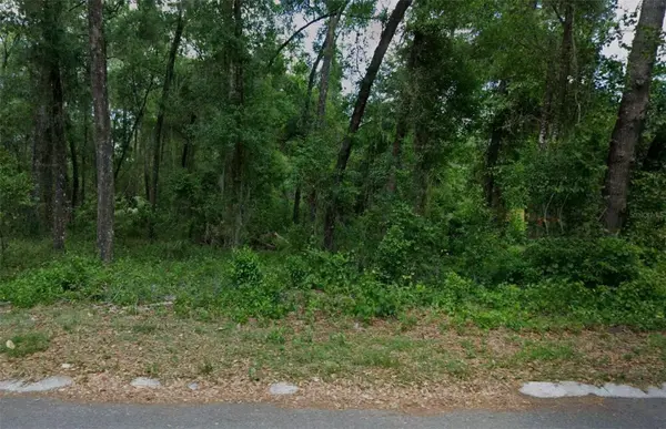 6033 E DELL LN, Inverness, FL 34452