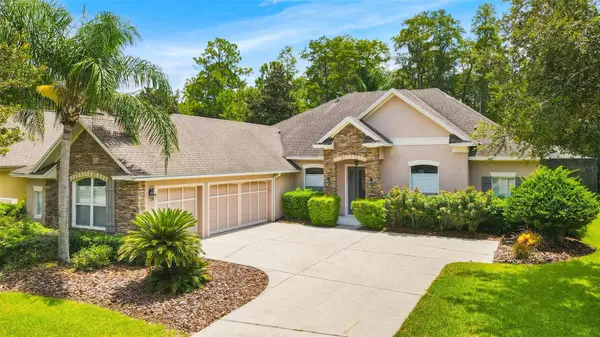 12116 SAN CHALIFORD CT, Tampa, FL 33626