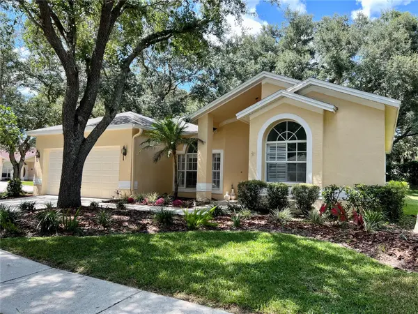 9302 KNIGHTSBRIDGE CT, Tampa, FL 33647