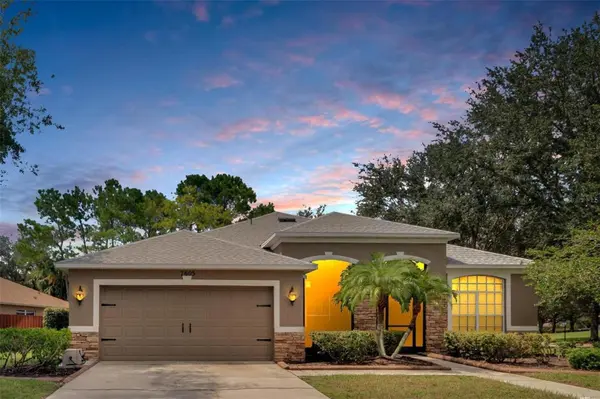 7605 NOTTINGHILL SKY DR, Apollo Beach, FL 33572