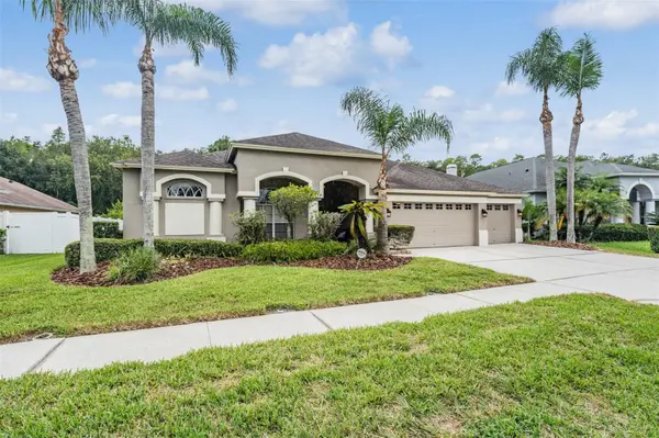 10101 KINGSHYRE WAY, Tampa, FL 33647