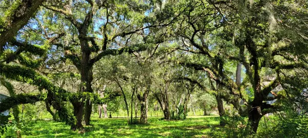 LUCILLE DR, Hudson, FL 34669
