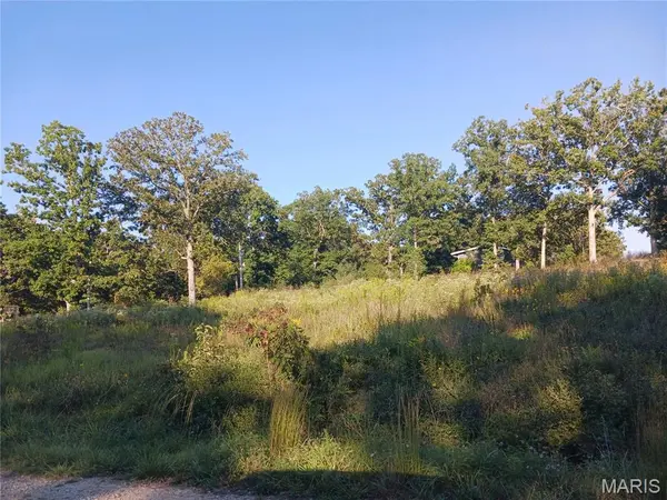 328 St. Gerard ST, Bonne Terre, MO 63628